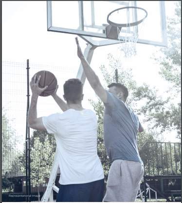  vivant Basketball Court