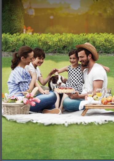  vivant Landscape Garden and Tree Planting