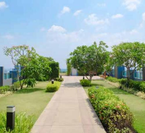  queens-park Landscape Garden and Tree Planting