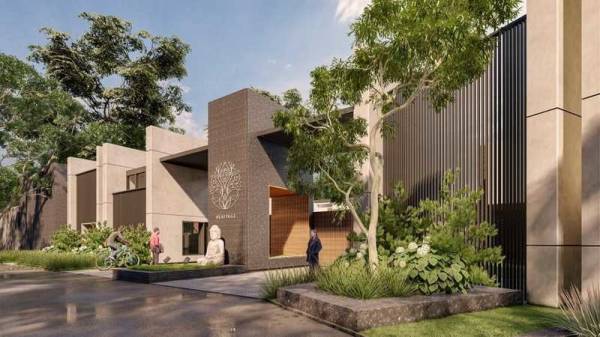 Elevation firefly-fields Elevation