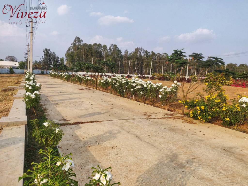  viveza Internal Roads