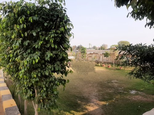  green Landscaped Gardens