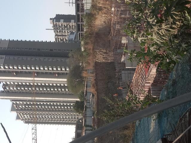 infinity avana A Wing Construction Status Feb 24