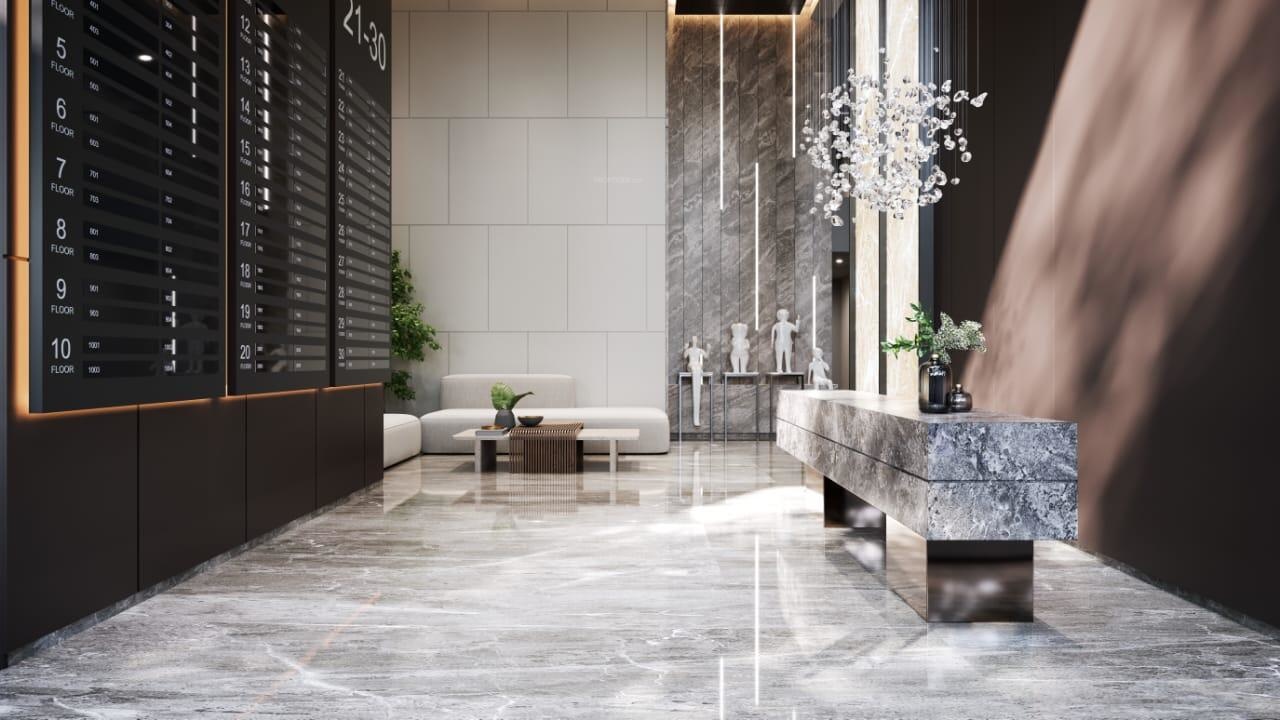 Tulip Infinity Avana