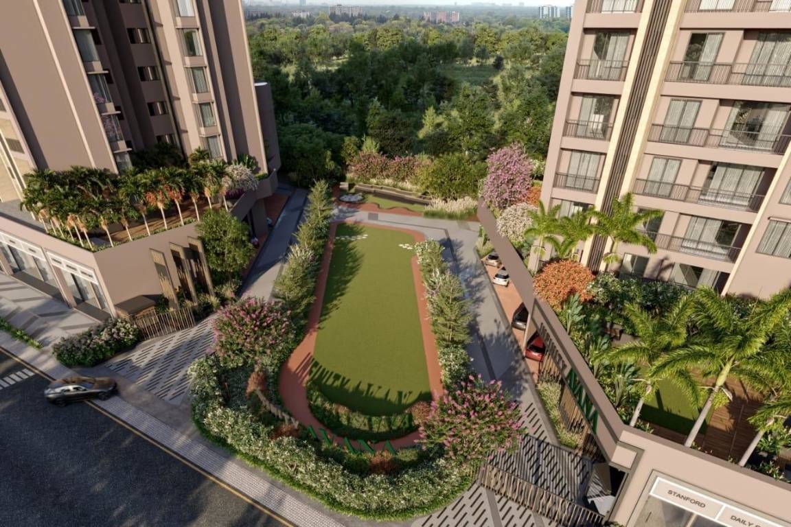 Tulip Infinity Avana