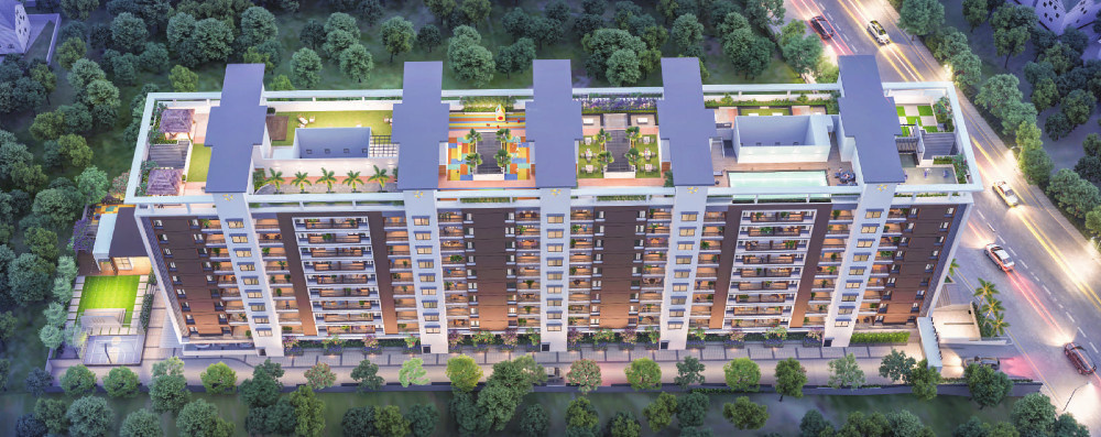  nova stella Elevation