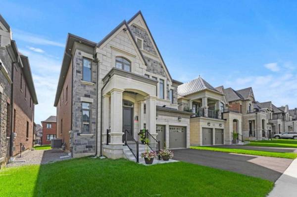 Elevation la-casa Elevation