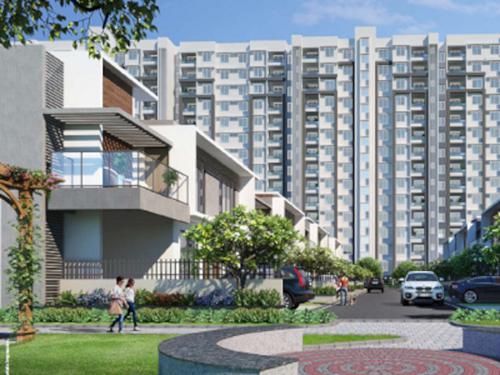  world-of-joy Landscape Garden and Tree Planting