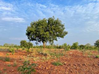 Project Image Project Image