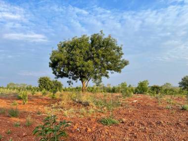 Elevation navya-greens Elevation