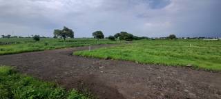 Project Image Project Image