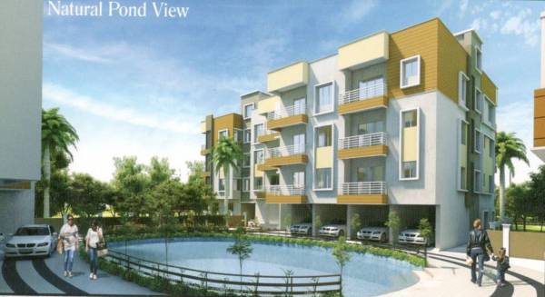  royal-origin Natural Pond