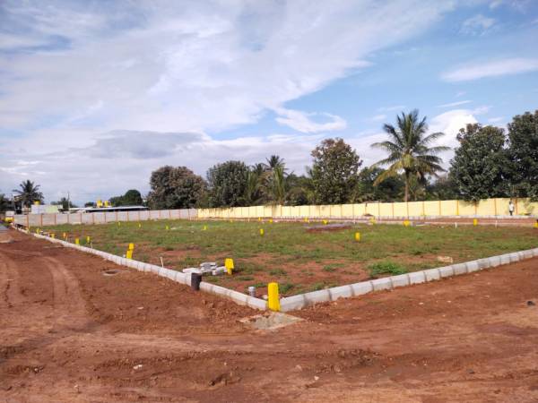 Elevation golden-enclave Elevation