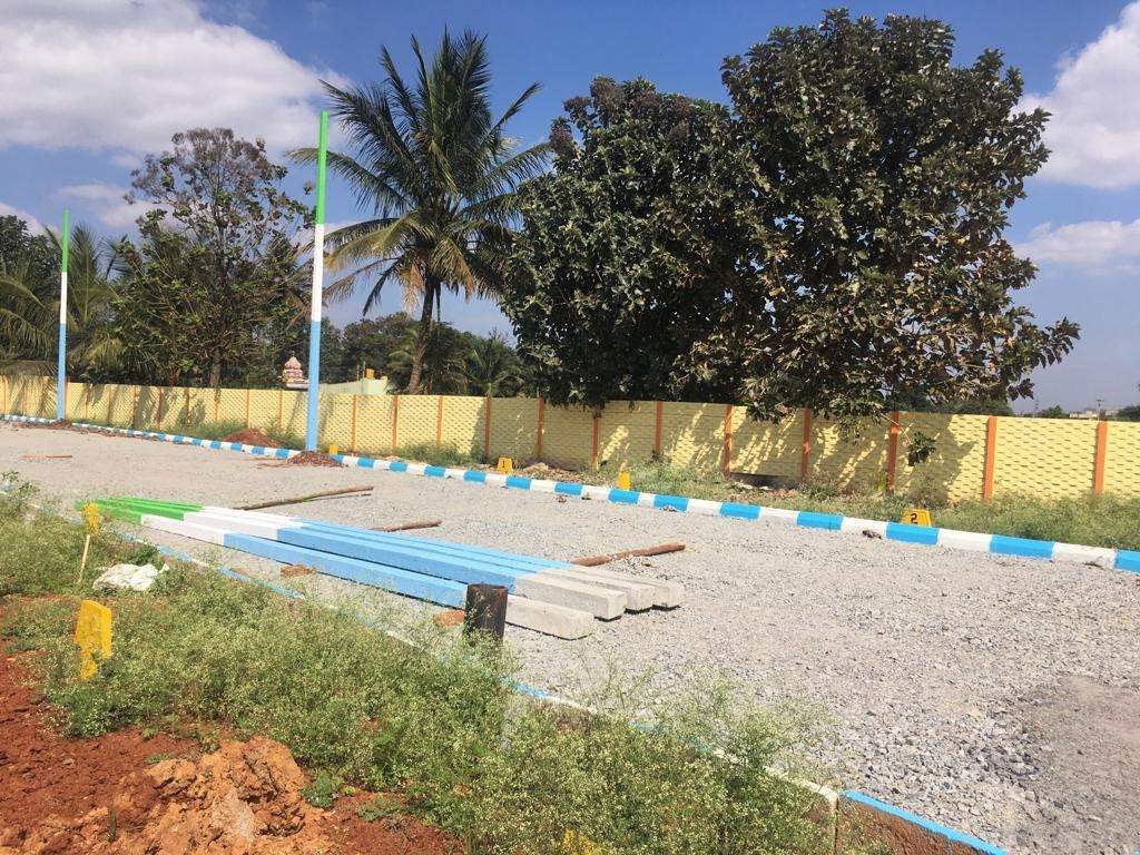  golden enclave Plot