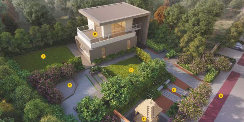  life canvas phase 1 Club House