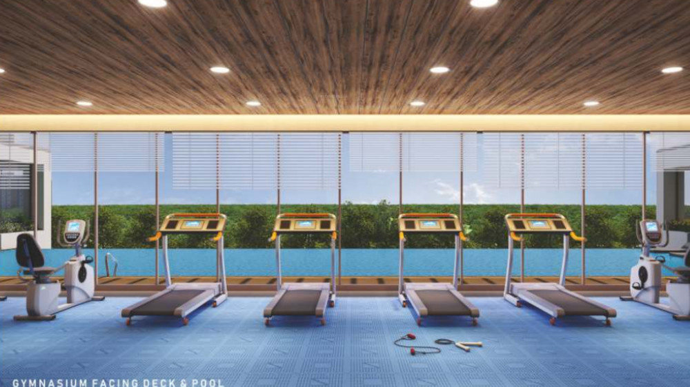  life canvas phase 1 Gymnasium