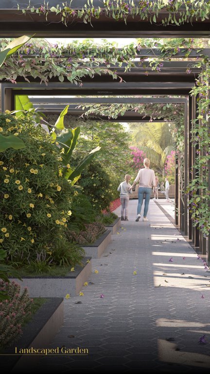  urban abode Landscape Garden and Tree Planting