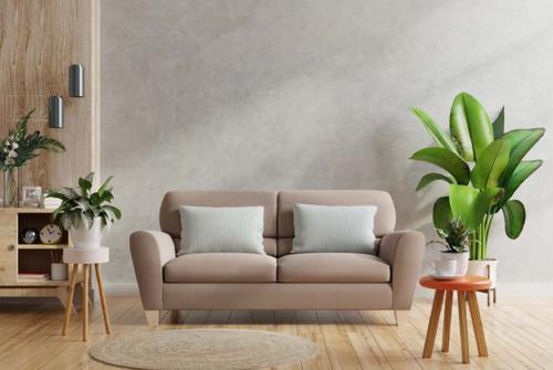  kalpavriksha Living Area