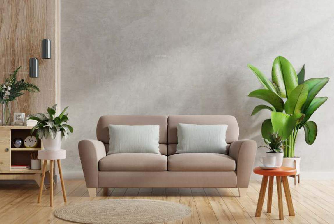  kalpavriksha Living Area