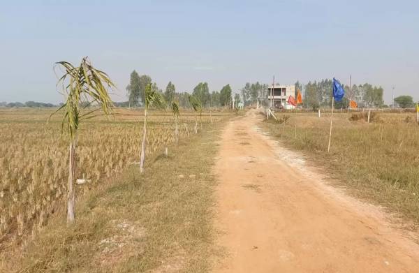 Internal Roads & Footpaths platinum-city Internal Roads & Footpaths