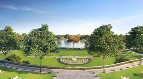  treeland-phase-5 Landscape Garden and Tree Planting