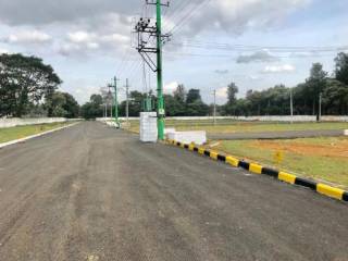 Project Image Project Image