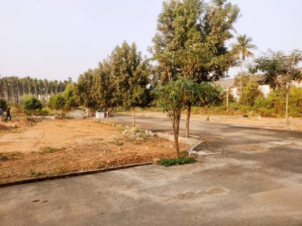 Others tj-avenue Others