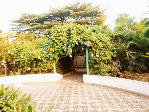 Others tj-avenue Others