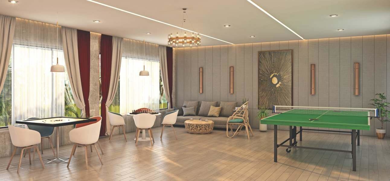  sunshine glory Others