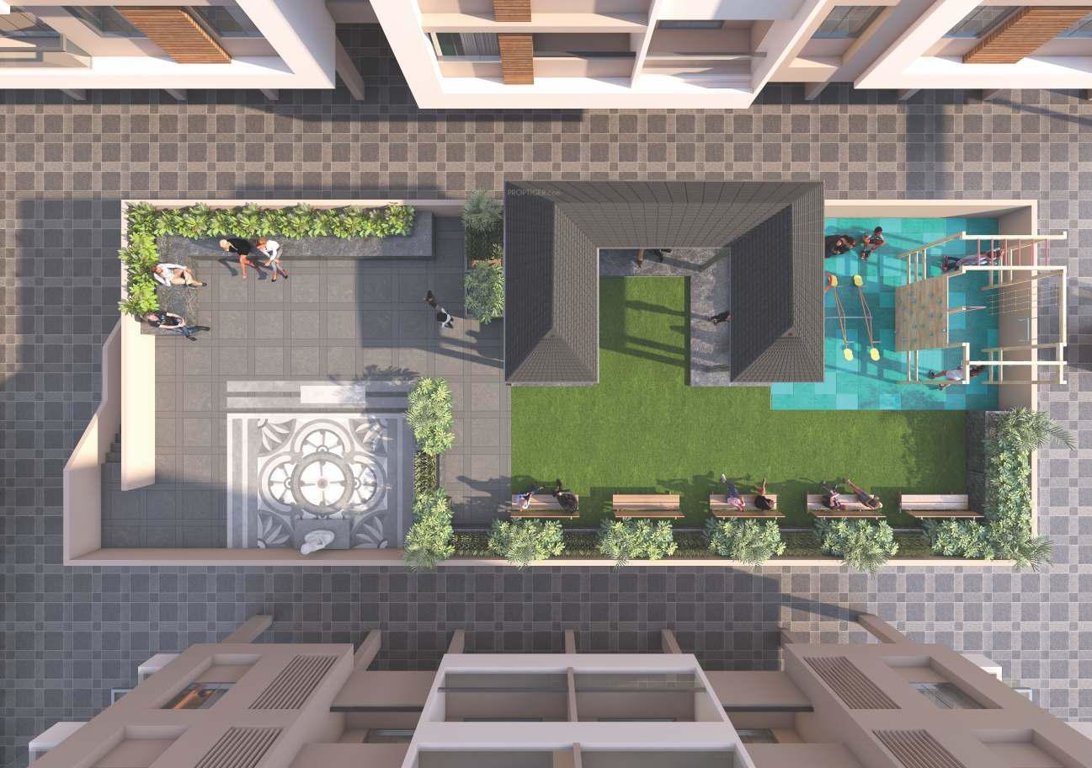  sunshine glory Others