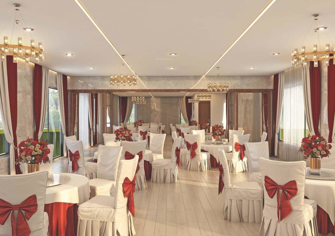  sunshine glory Others