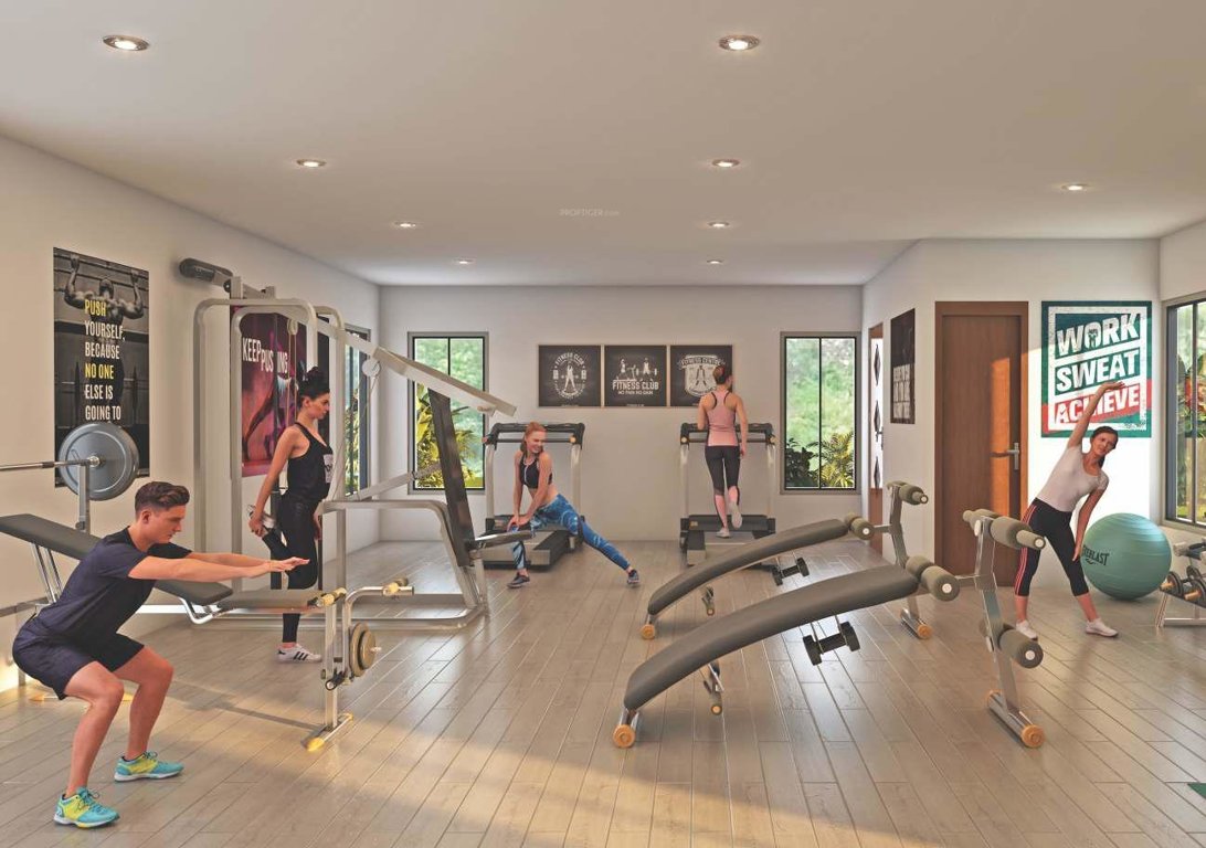  sunshine glory Others