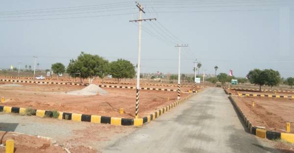 peddapur-ln-county Elevation