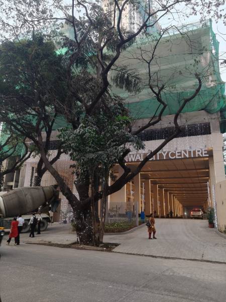  avenue-wing-n Wing N Construction Status Nov-24