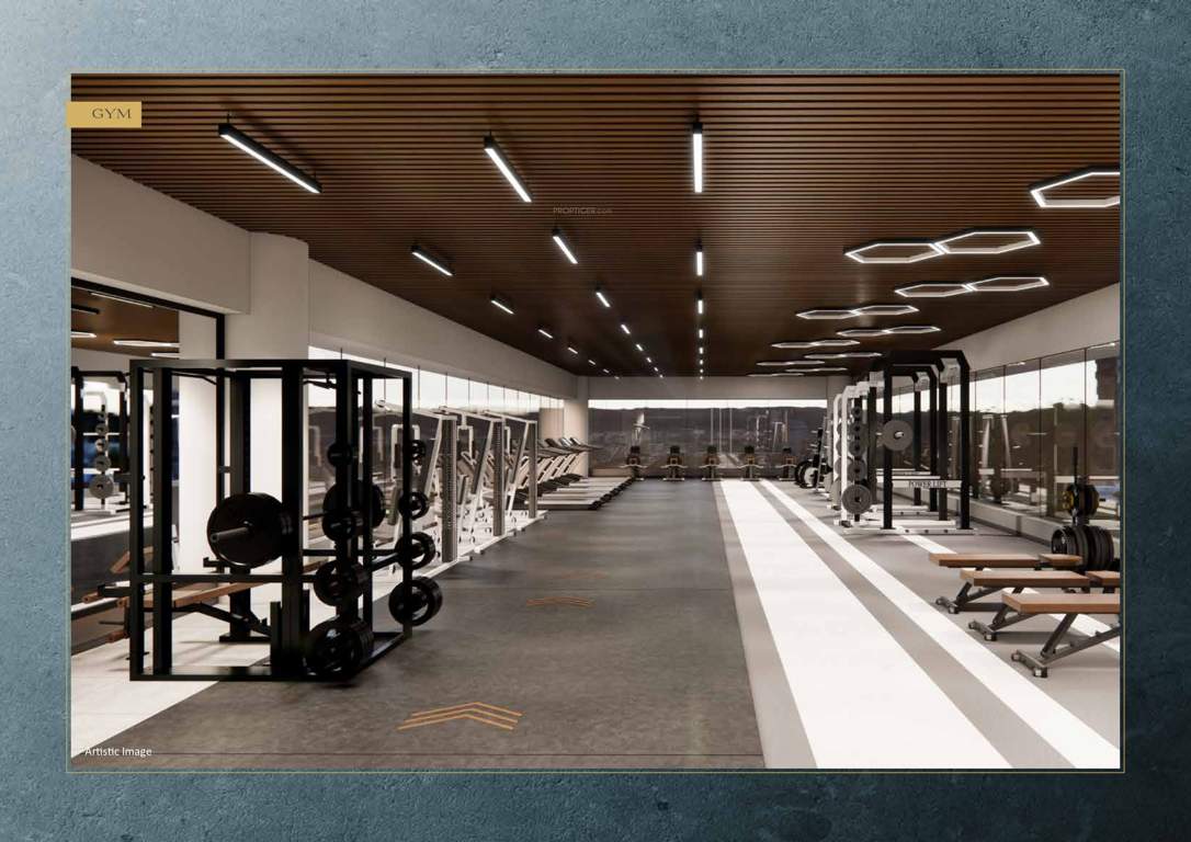  life republic aros Others