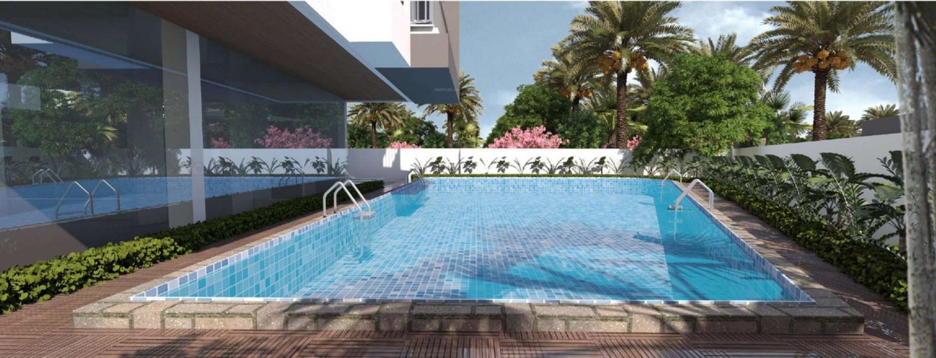  sundew Swimming Pool