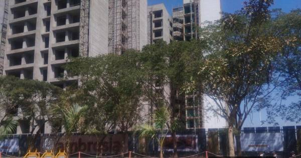 Block A Construction Status March-25 ambrosia Block A Construction Status March-25