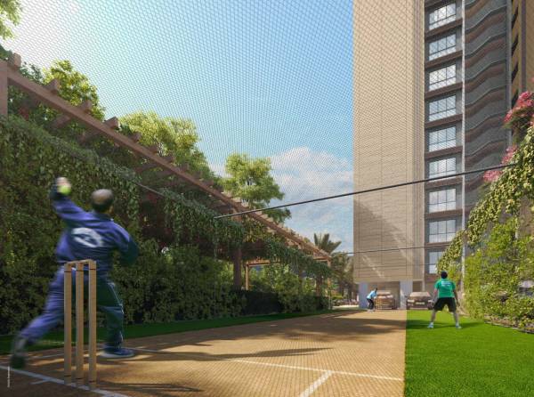 Cricket Pitch ambrosia Cricket Pitch