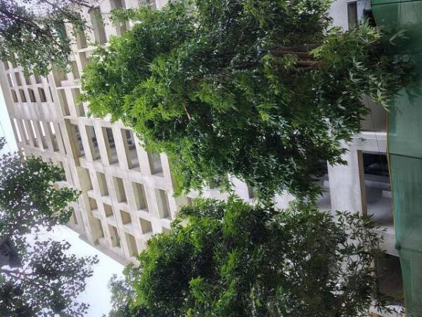  aishwarya-sarasbaug Construction Status May-25