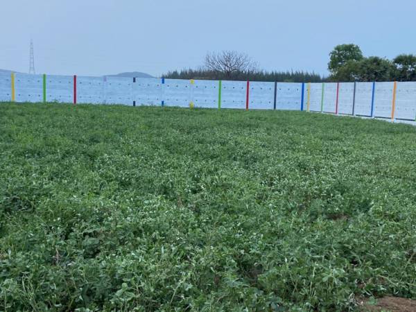  vijaya-farms Elevation