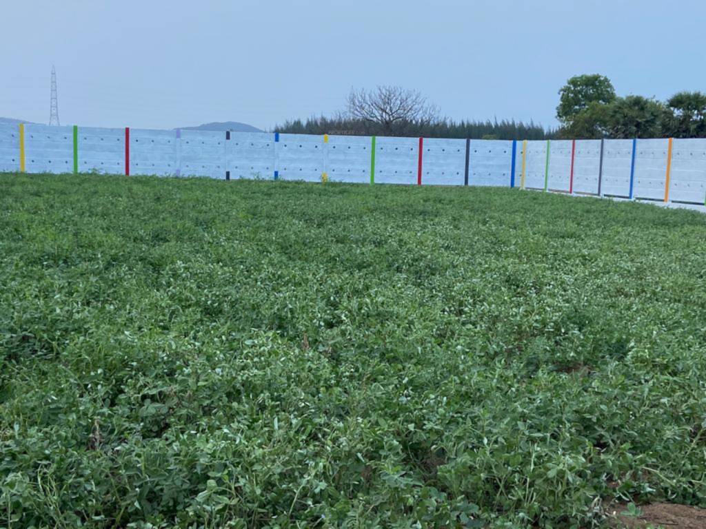  vijaya farms Elevation