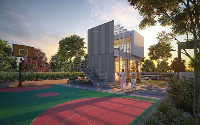  jd gaatha Basketball Court