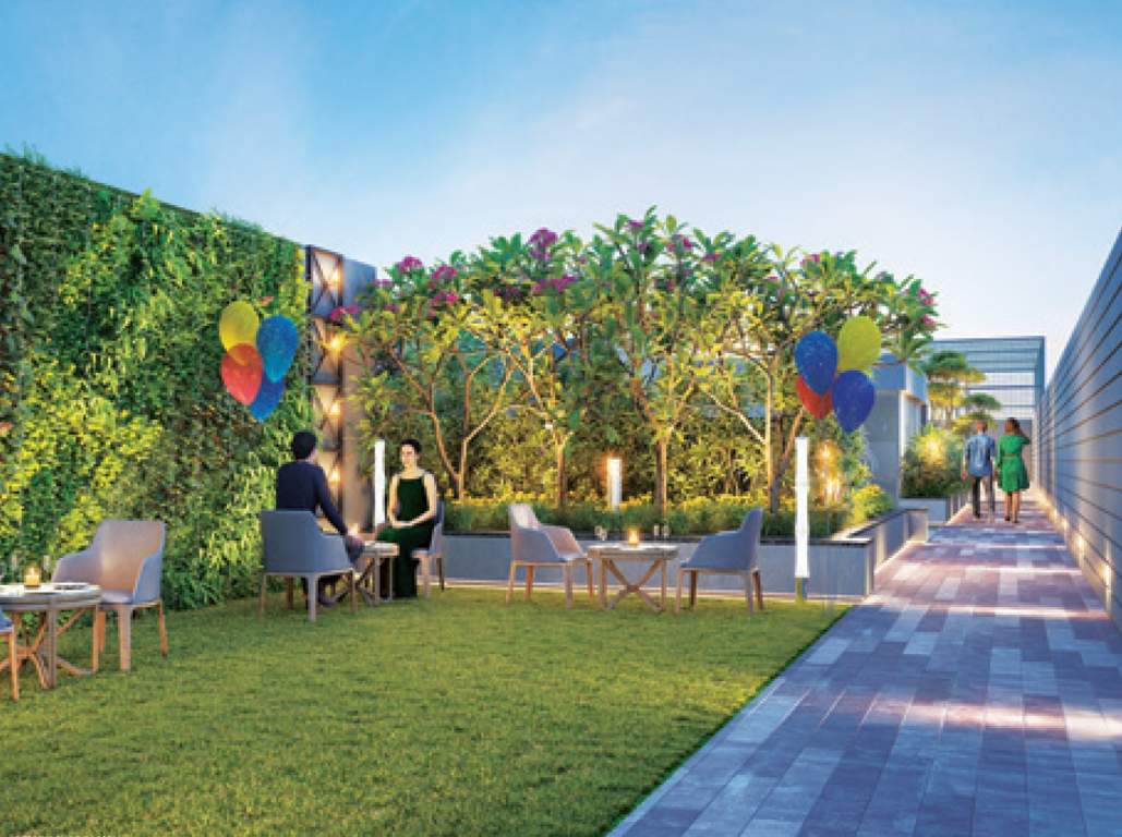  anp retreat Landscape Garden and Tree Planting