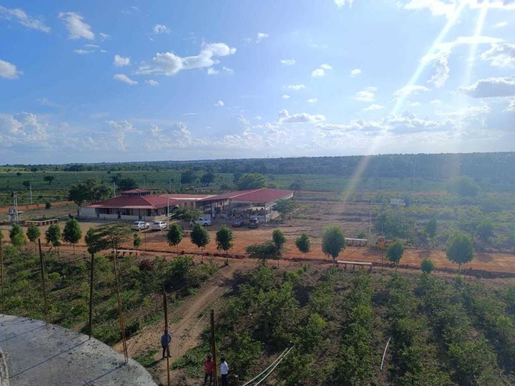  peacock estate Elevation