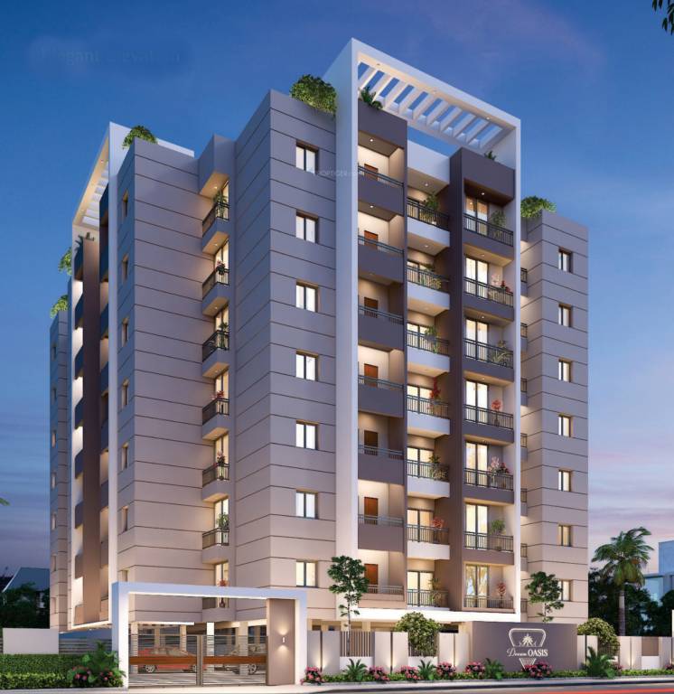  oasis dream Elevation