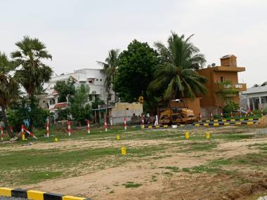  new-sun-city Elevation