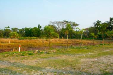  green-plaza Elevation