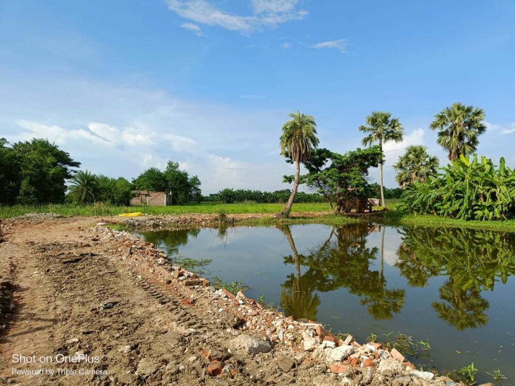  natures paradise Others