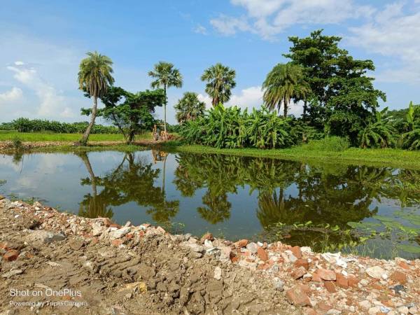  natures-paradise Others