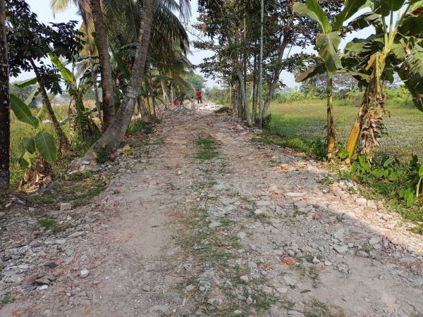  natures-paradise Plot